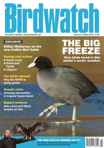 March 2010 
                issue March 2010