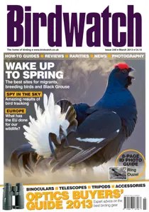 March 2013 
                issue March 2013