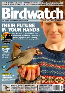 March 2016 
                issue March 2016