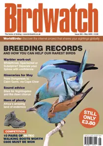 May 2009 
                issue May 2009