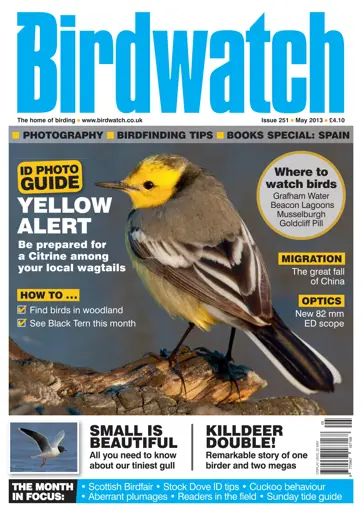 Birdwatch Magazine Preview