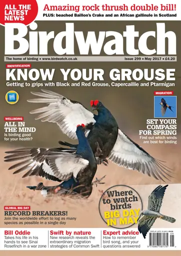 Birdwatch Magazine Preview