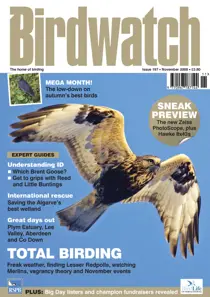 November 2008 
                issue November 2008