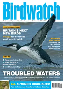 November 2010 
                issue November 2010