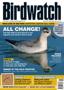 November 2011 
                issue November 2011