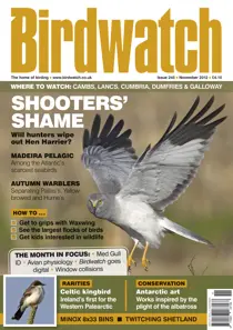 November 2012 
                issue November 2012