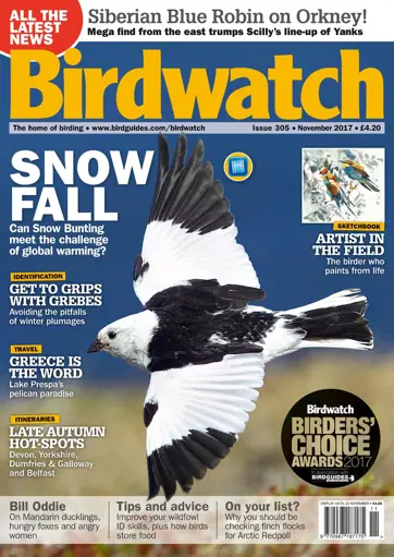 Birdwatch Magazine Preview