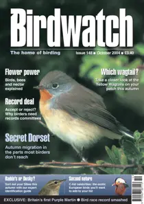 October 2004 
                issue October 2004