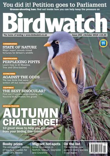 Birdwatch Magazine Preview