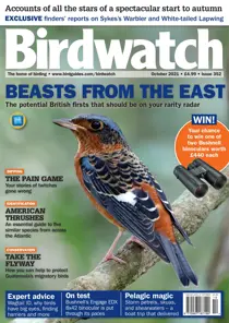 October 2021 
                issue October 2021