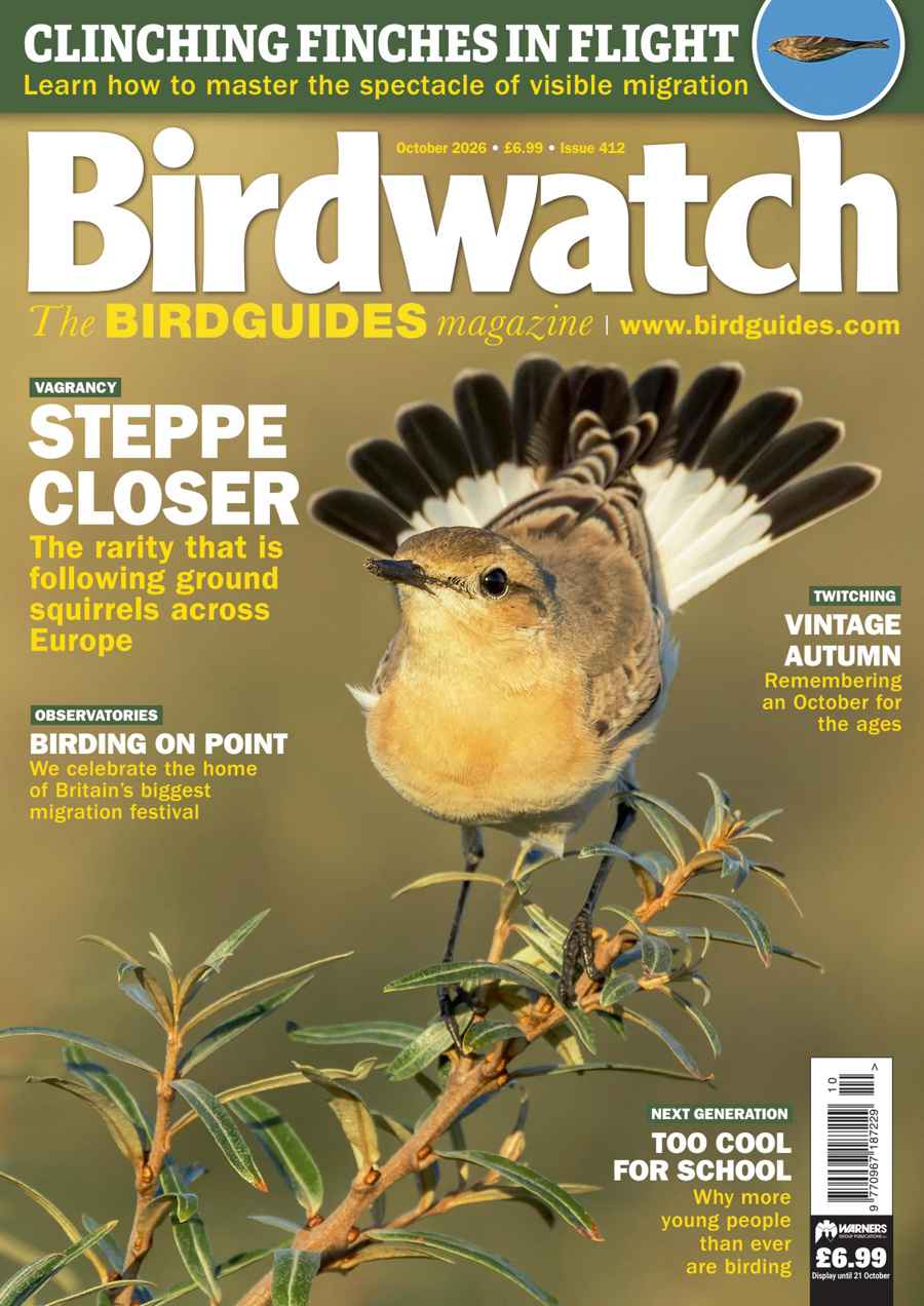 Birdwatch Magazine issue October 2026