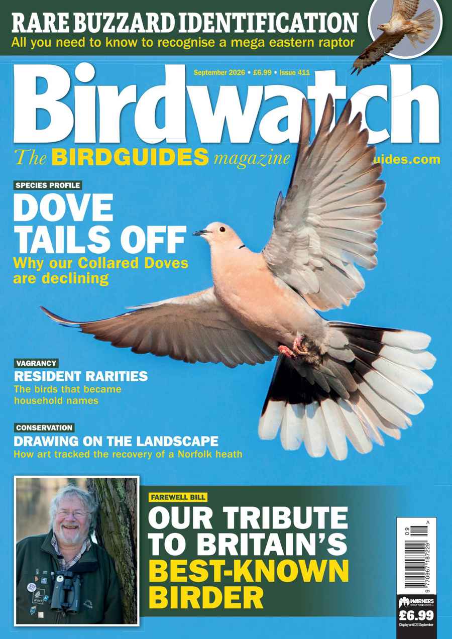 BIRDWATCH