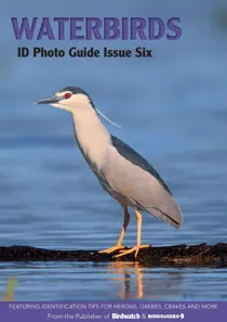 Birdwatch Magazine Waterbirds