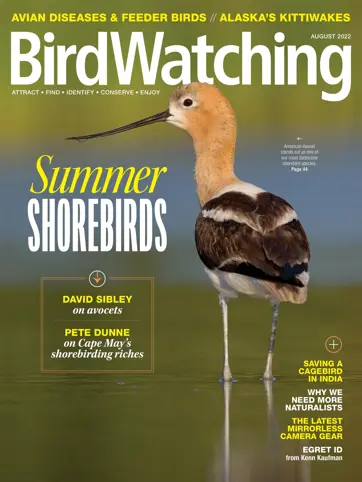 BirdWatching Preview