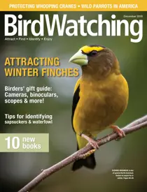 Nov/ Dec 2018 
                issue Nov/ Dec 2018