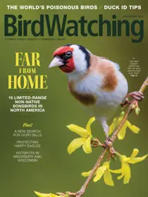 BirdWatching Nov/ Dec 2021