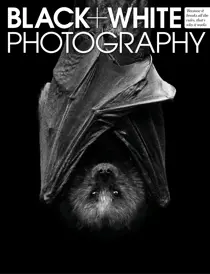 April 2013 
                issue April 2013