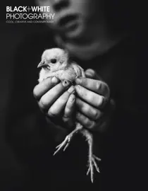 February 2018 
                issue February 2018