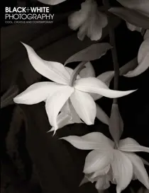 February 2017 
                issue February 2017