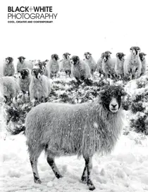 Issue 248 
                issue Issue 248