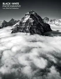 Issue 254 
                issue Issue 254