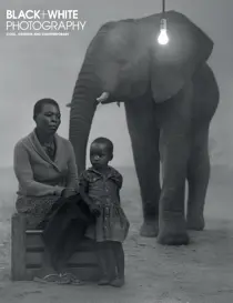 Issue 257 
                issue Issue 257