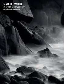 Issue 259 
                issue Issue 259