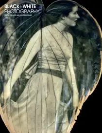 Issue 260 
                issue Issue 260