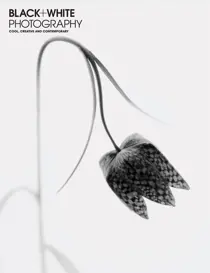 Issue 268 
                issue Issue 268