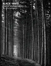 Issue 271 
                issue Issue 271