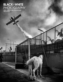 Issue 272 
                issue Issue 272