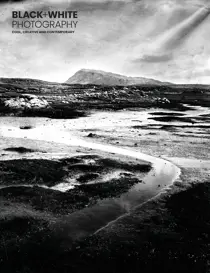 Issue 279 
                issue Issue 279