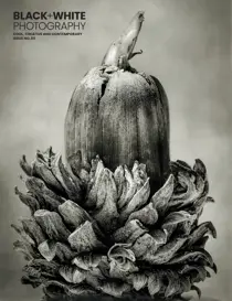 Black+White Photography 
                issue Issue 311
