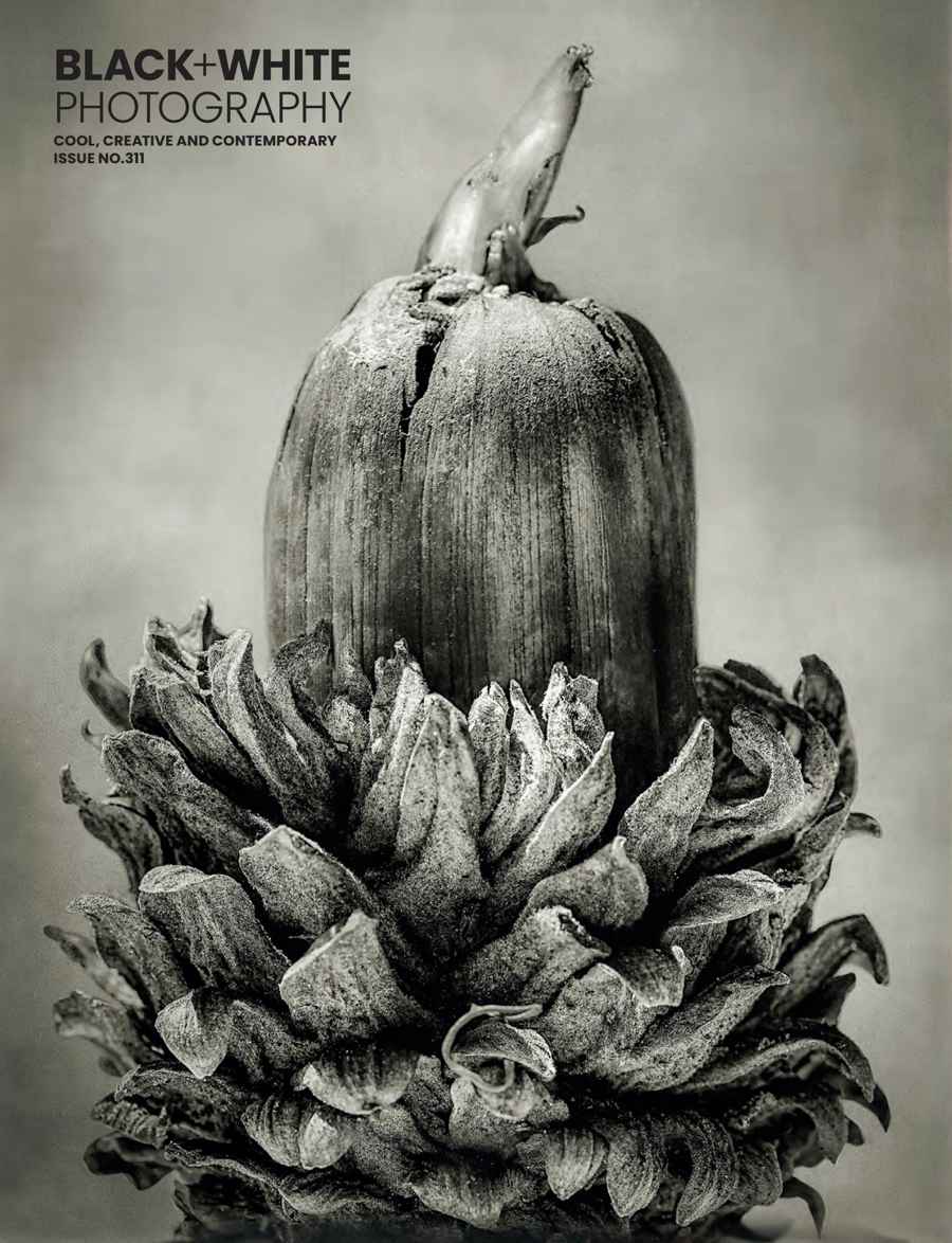 Black+White Photography issue Issue 311