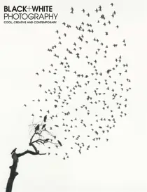 Issue 237 
                issue Issue 237