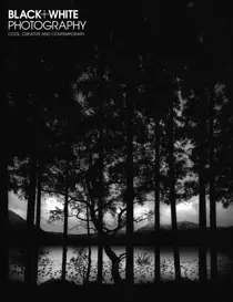 January 2017 
                issue January 2017