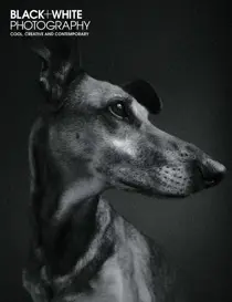 Jul-19 
                issue Jul-19