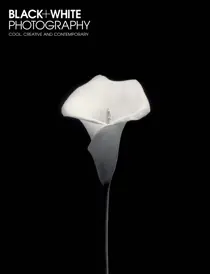 July 15 
                issue July 15