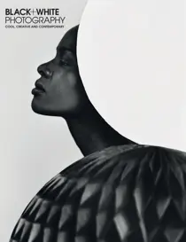 Issue 242 
                issue Issue 242