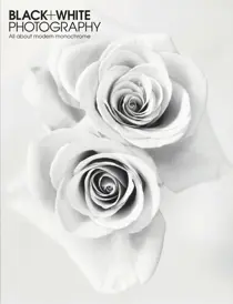 July 2013 
                issue July 2013