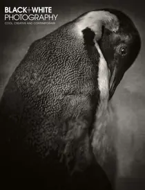 March 2016 
                issue March 2016