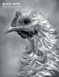 March 2019 
                issue March 2019