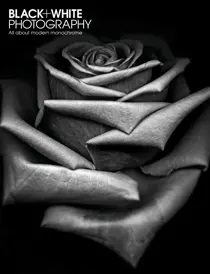 November 2013 
                issue November 2013