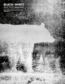 Black+White Photography 
                issue Sample Edition