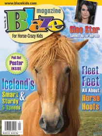 Issue No. 31 
                issue Issue No. 31