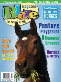 Blaze Magazine For Horse Crazy Kids No 64 Spring 2019