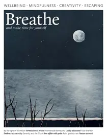 Issue 016 
                issue Issue 016