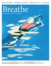 Issue 047 
                issue Issue 047