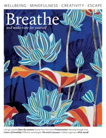 Complete Your Collection Cover 3