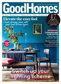 Good Homes Magazine 
                issue Good Homes Magazine